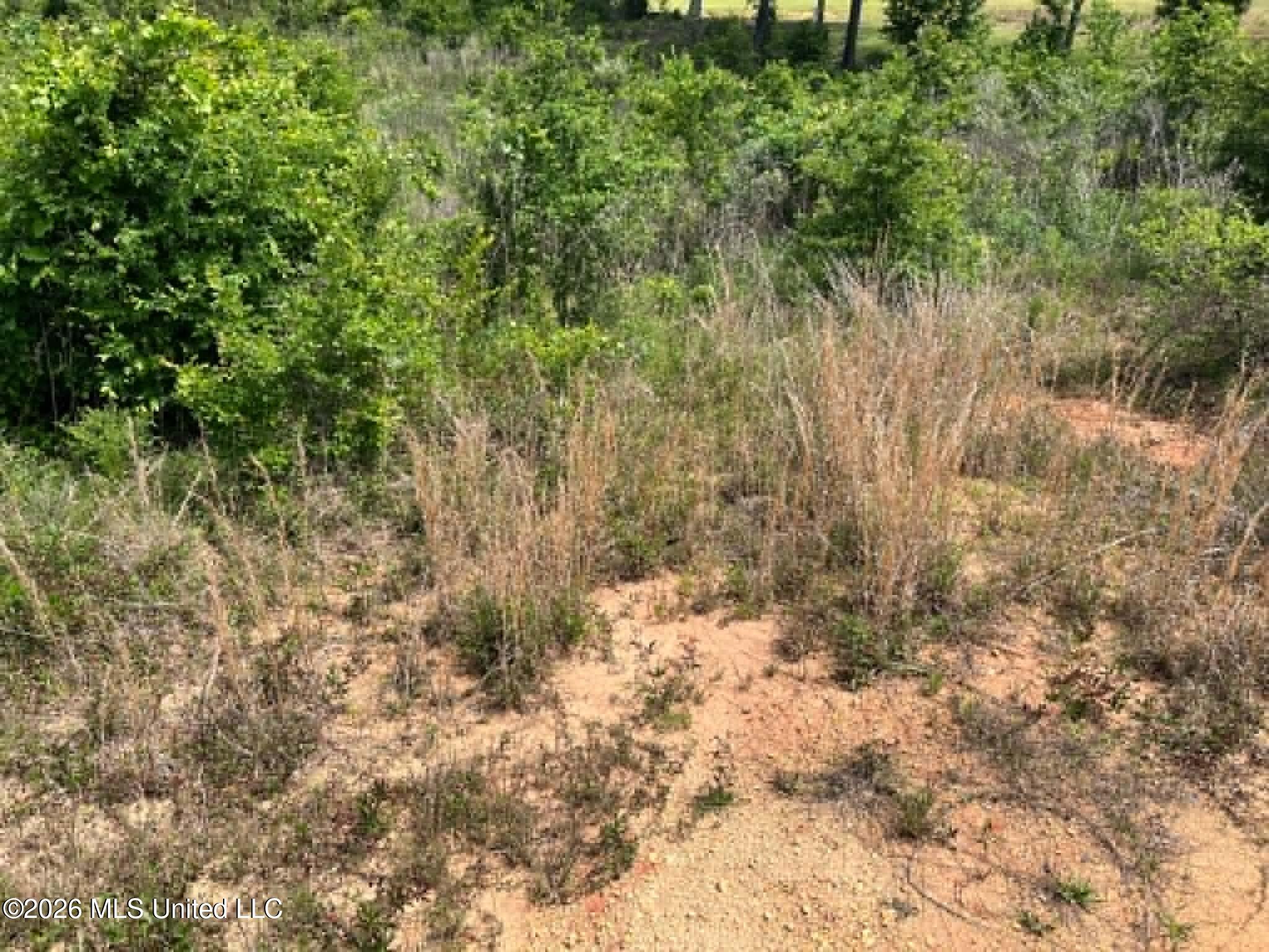 0 Layton Jones Road Mendenhall, MS 39114 - Photo 14 of 15 9fdaa376-17ba-4657-ae52-9d29ebf123cf