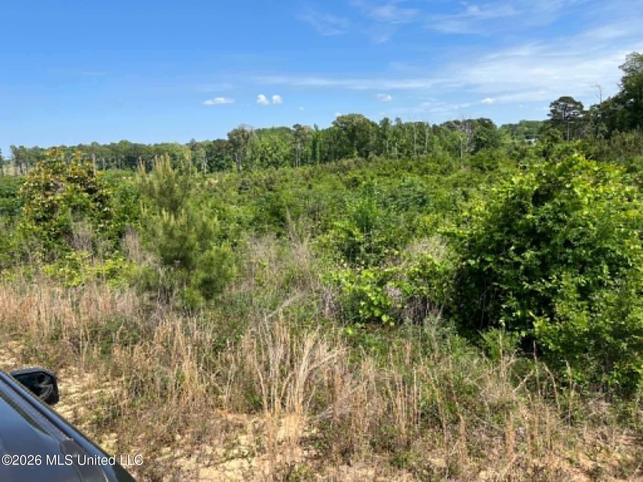 0 Layton Jones Road Mendenhall, MS 39114 - Photo 3 of 15 07bb531d-cc84-4b85-bb5e-a0de993a4eba