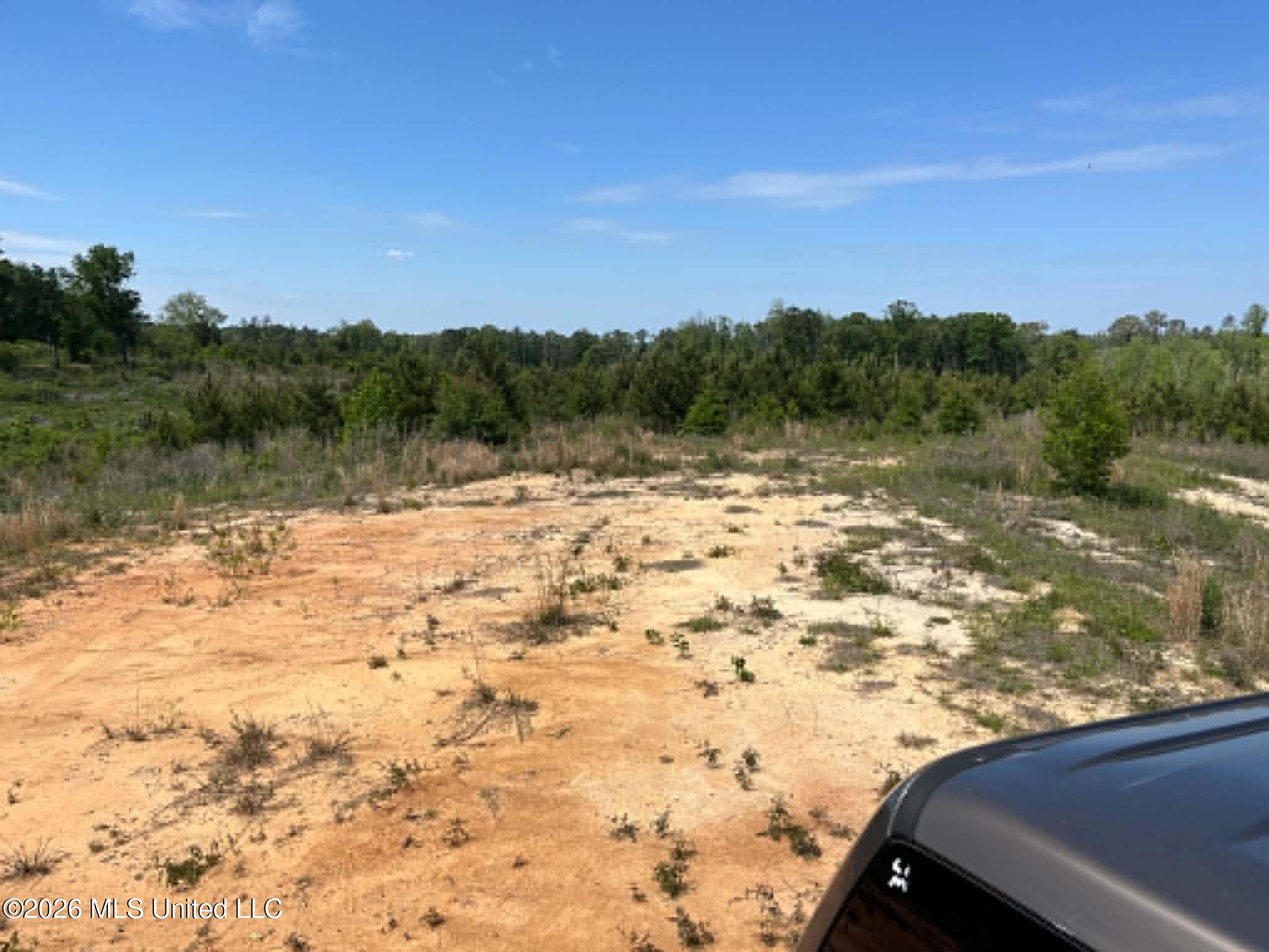 0 Layton Jones Road Mendenhall, MS 39114 - Photo 4 of 15 26d96864-edab-4f05-8b82-6a9058f3f085