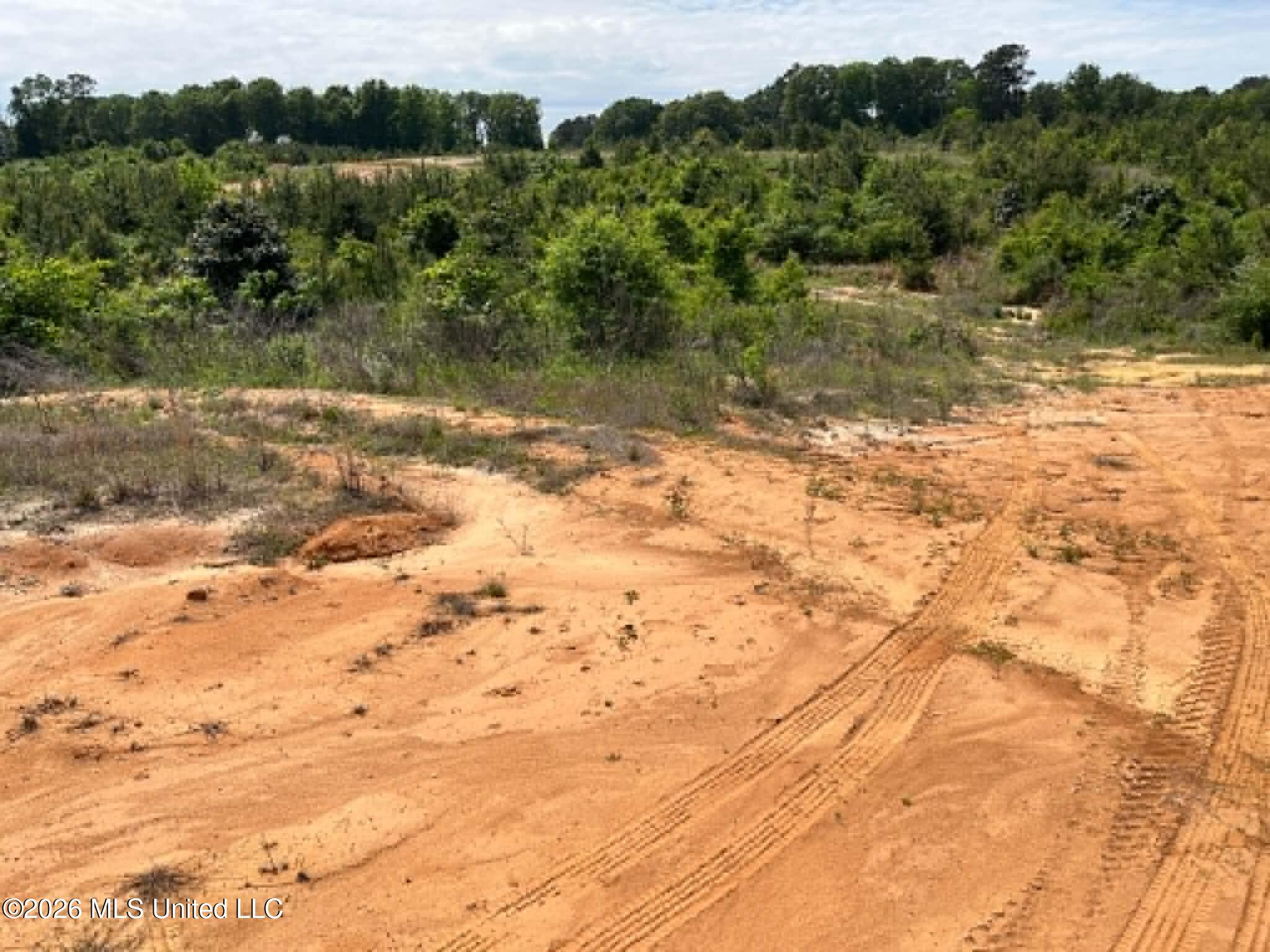 0 Layton Jones Road Mendenhall, MS 39114 - Photo 5 of 15 52cab196-8e03-4a43-9b23-f09909f86363