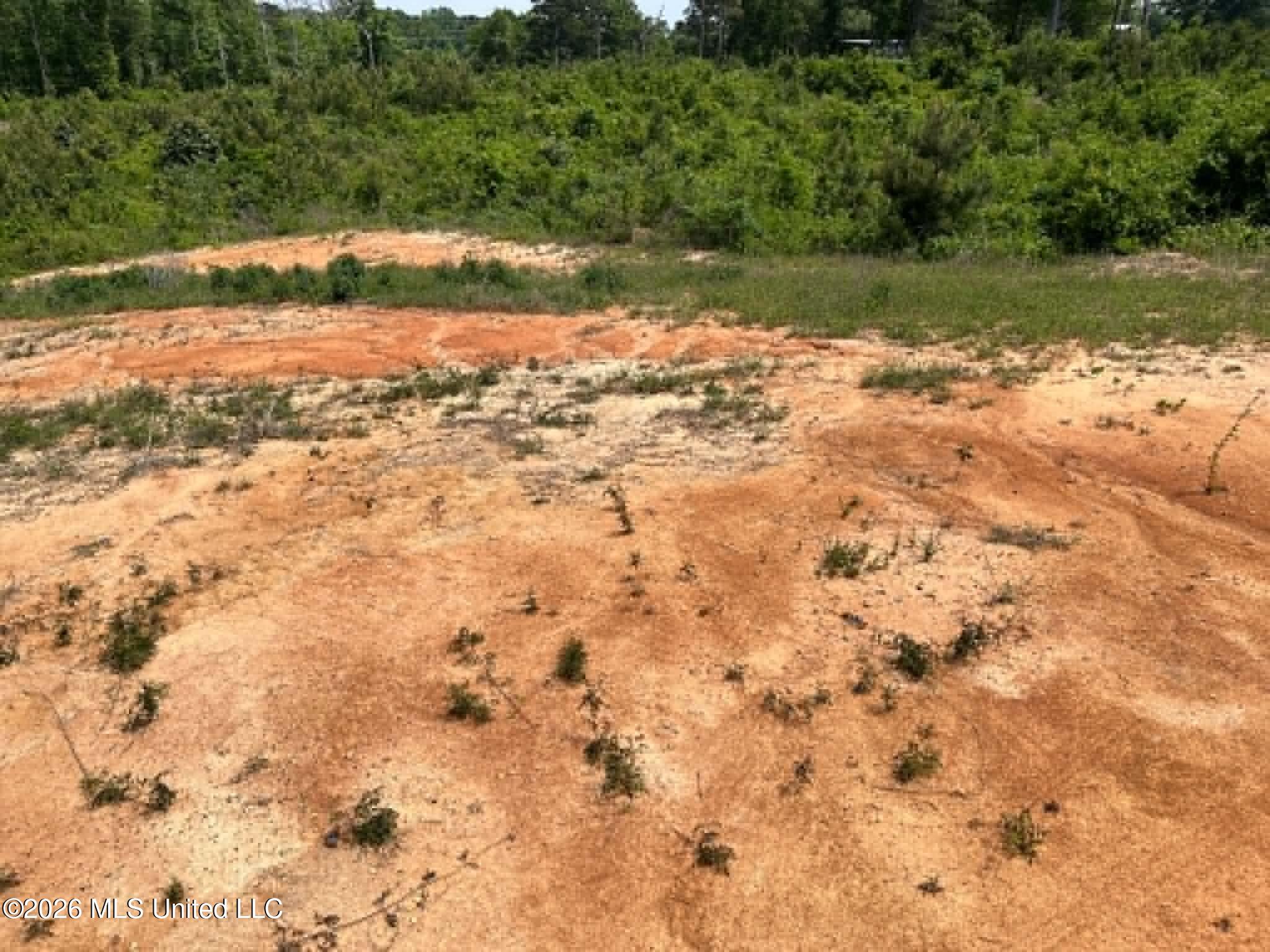 0 Layton Jones Road Mendenhall, MS 39114 - Photo 6 of 15 54af1302-ef47-4d07-a8c9-a1315012f780