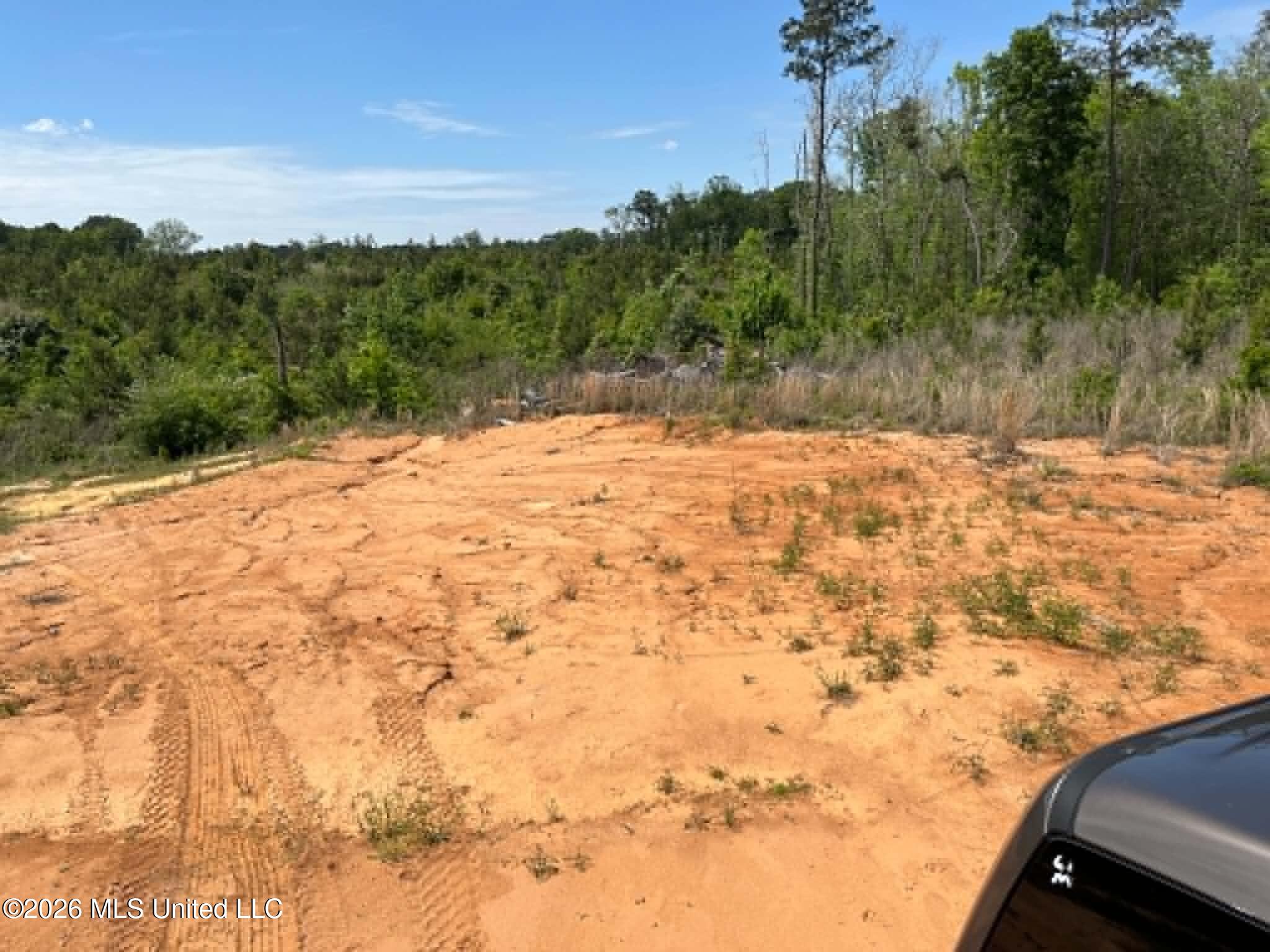 0 Layton Jones Road Mendenhall, MS 39114 - Photo 7 of 15 55ec45a3-bc7f-4374-8d69-02ee9ff37e84