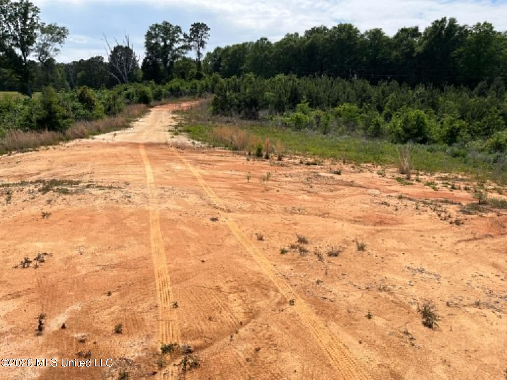 0 Layton Jones Road Mendenhall, MS 39114 - Photo 8 of 15 304ed71f-1b36-46fd-8188-a25e3637a036
