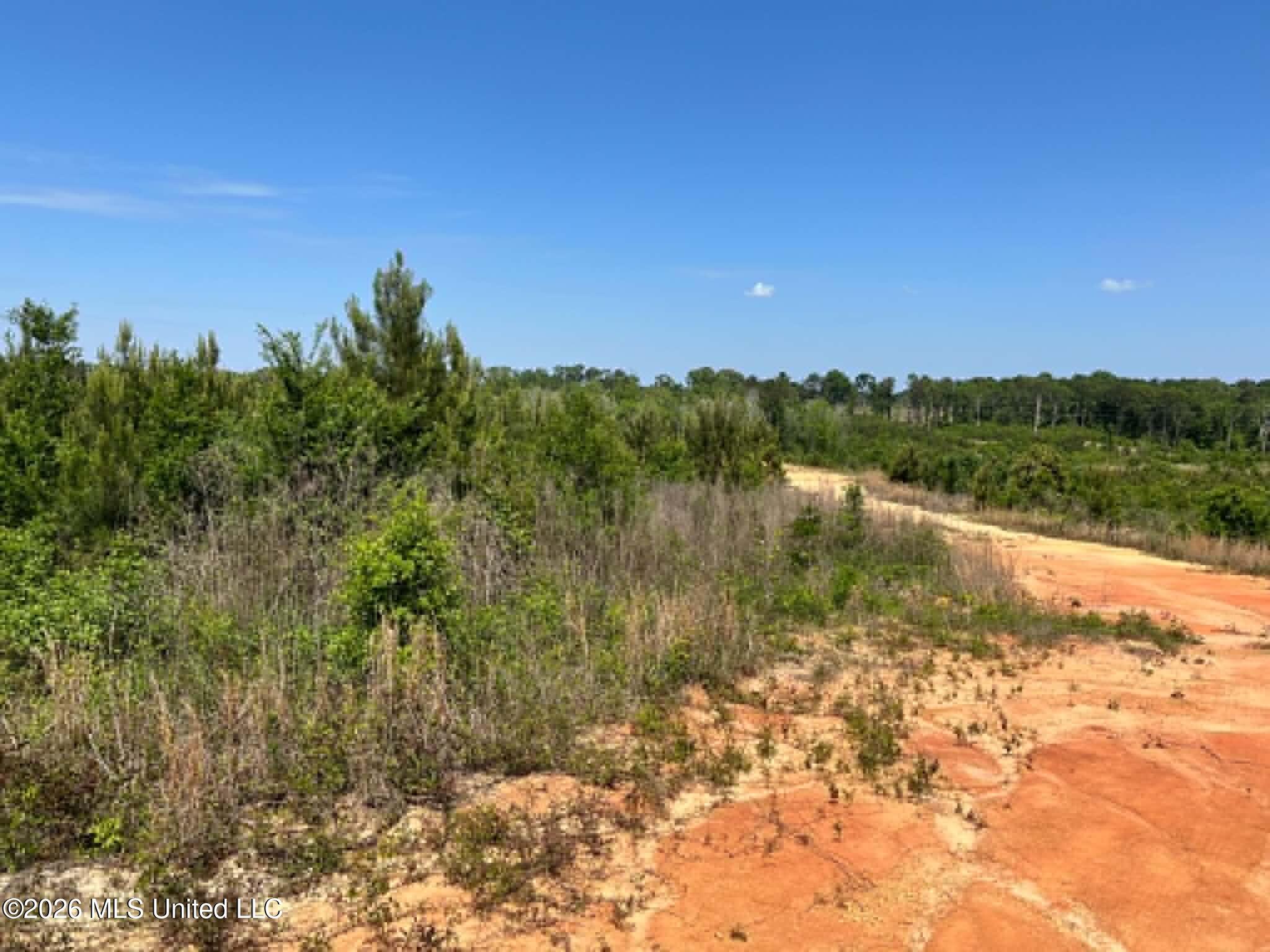 0 Layton Jones Road Mendenhall, MS 39114 - Photo 9 of 15 2449bd7c-fa66-4a37-a749-4c059b964d6e