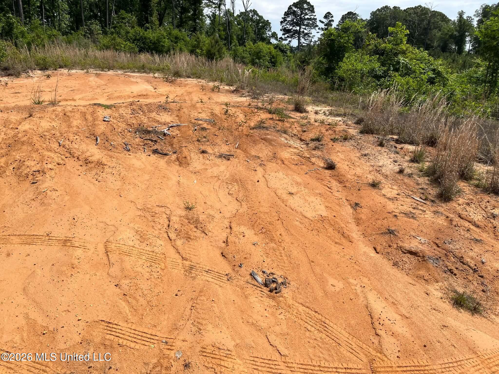0 Layton Jones Road Mendenhall, MS 39114 - Photo 10 of 15 2557edbb-4da2-497b-b599-7dd6042fa020