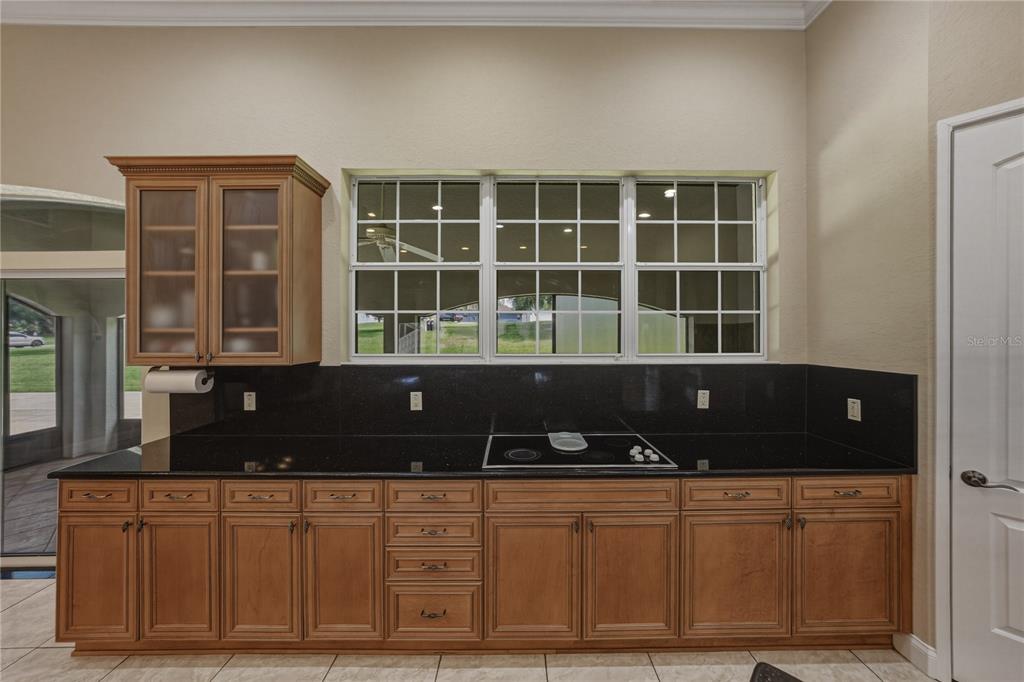 37624 Sky Ridge Circle Dade City, FL 33525 - Photo 32 of 83