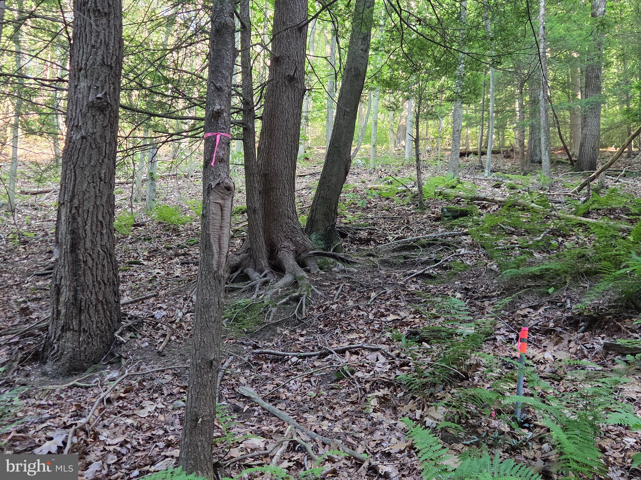 0 Carlisle Gap Road Lewistown, PA 17044 - Photo 17 of 53