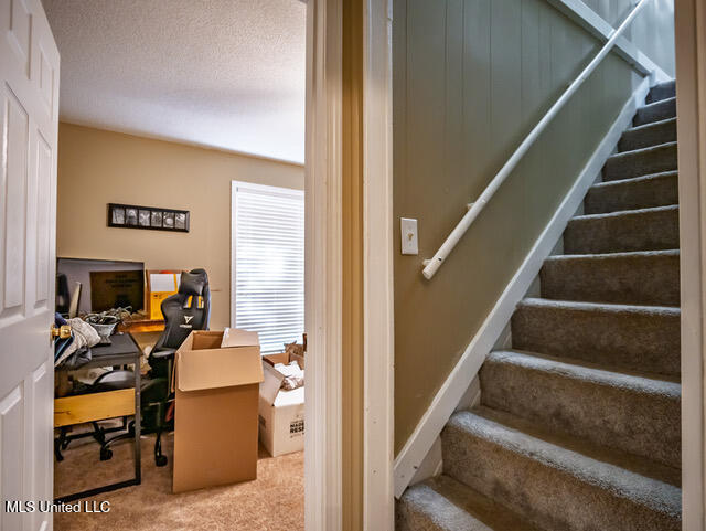 8172 Eureka Road Courtland, MS 38620 - Photo 28 of 75 8172 Eureka Rd Batesville MS_2025-10-03_