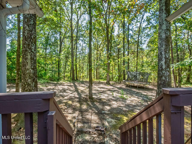 8172 Eureka Road Courtland, MS 38620 - Photo 40 of 75 8172 Eureka Rd Batesville MS_2025-10-03_