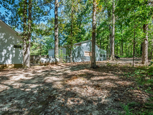8172 Eureka Road Courtland, MS 38620 - Photo 42 of 75 8172 Eureka Rd Batesville MS_2025-10-03_