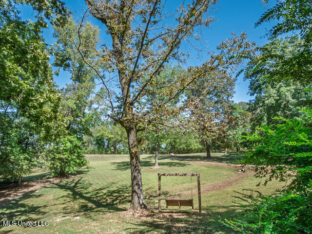8172 Eureka Road Courtland, MS 38620 - Photo 57 of 75 8172 Eureka Rd Batesville MS_2025-10-03_
