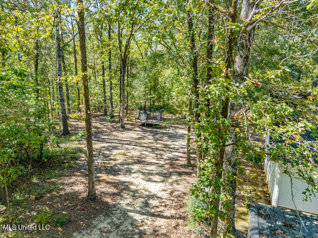 8172 Eureka Road Courtland, MS 38620 - Photo 62 of 75 8172 Eureka Rd Batesville MS_2025-10-03_