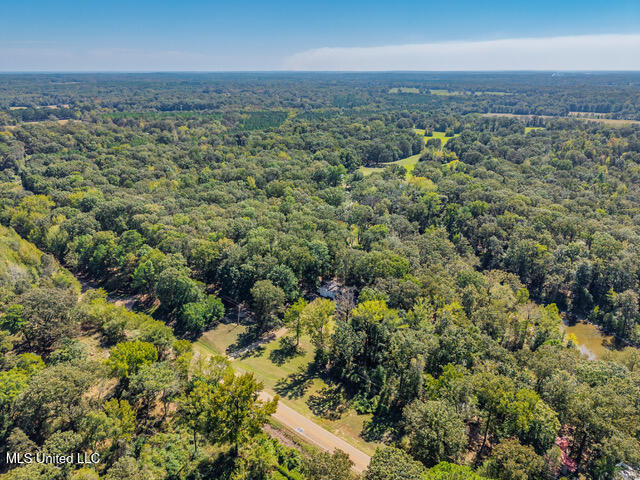 8172 Eureka Road Courtland, MS 38620 - Photo 68 of 75 8172 Eureka Rd Batesville MS_2025-10-03_