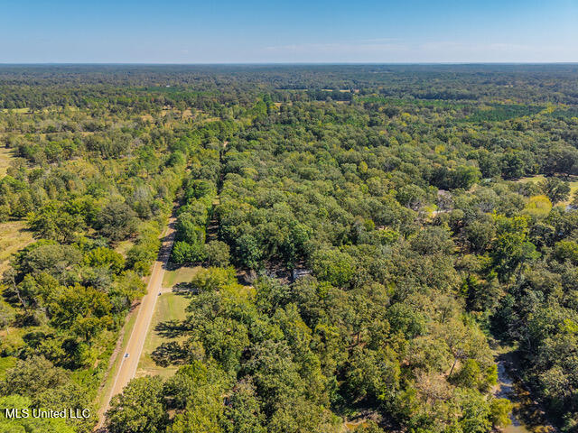 8172 Eureka Road Courtland, MS 38620 - Photo 69 of 75 8172 Eureka Rd Batesville MS_2025-10-03_