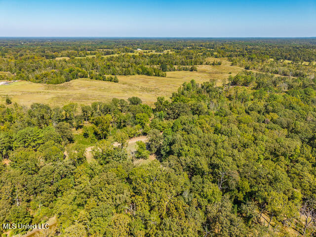 8172 Eureka Road Courtland, MS 38620 - Photo 70 of 75 8172 Eureka Rd Batesville MS_2025-10-03_