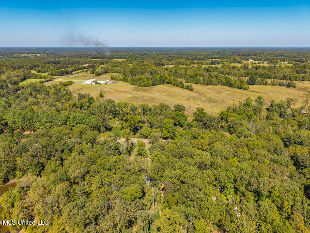 8172 Eureka Road Courtland, MS 38620 - Photo 71 of 75 8172 Eureka Rd Batesville MS_2025-10-03_