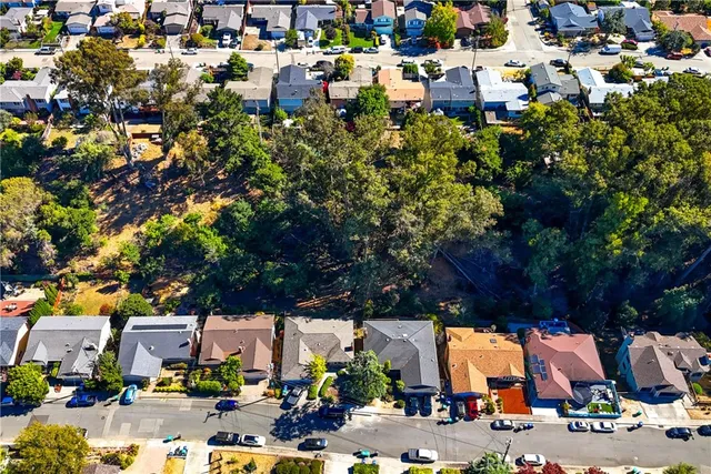a view of a garden with flowers