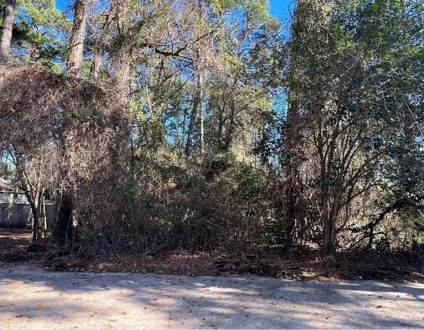 a view of a yard with large trees