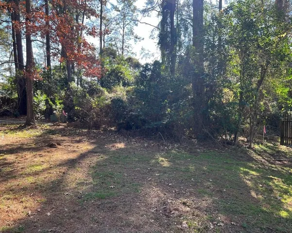 a view of a yard with trees