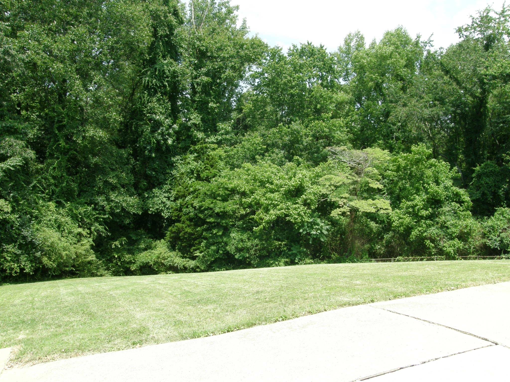 506 Delaware Avenue Oak Ridge, TN 37830 - Photo 37 of 39 P1011756