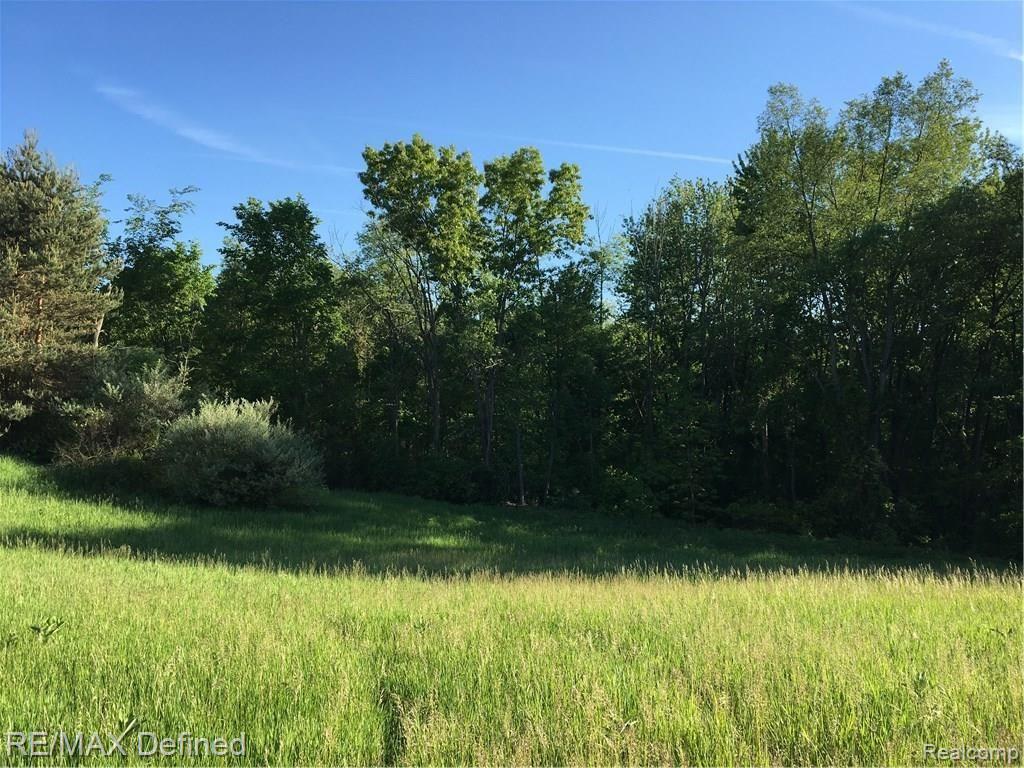 Parcel H East Rattalee Lake Road Holly, MI 48442 - Photo 2 of 13