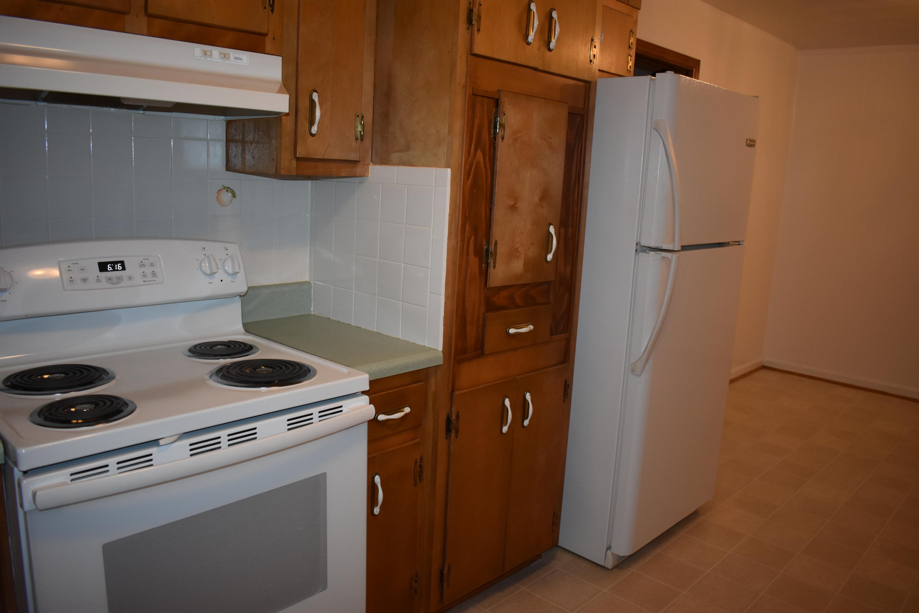 7003 Franklin Road Boones Mill, VA 24065 - Photo 10 of 30 DSC_0029