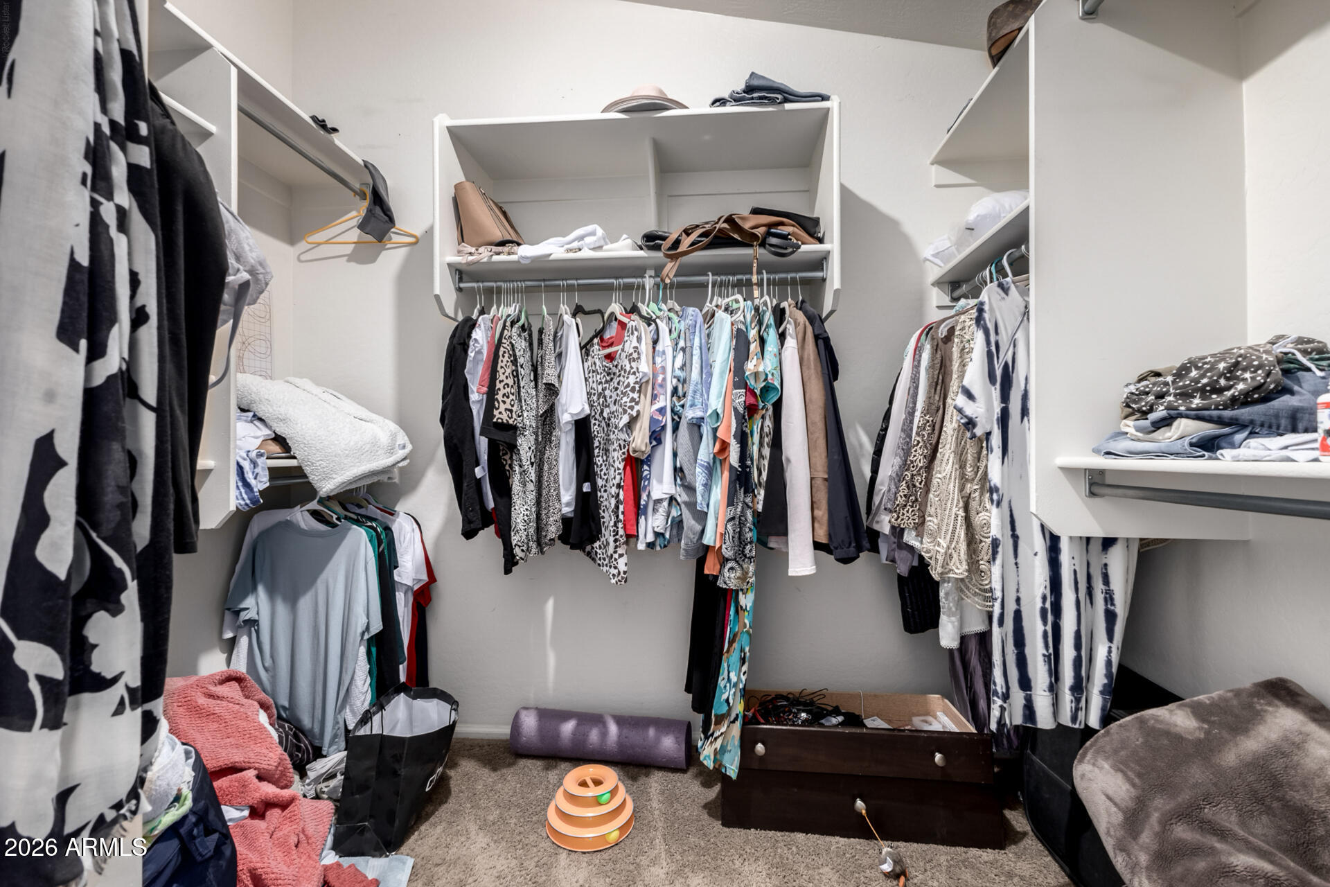935 West Gascon Road San Tan Valley, AZ 85143 - Photo 22 of 43 a view of walk in closet with clothes and shoes