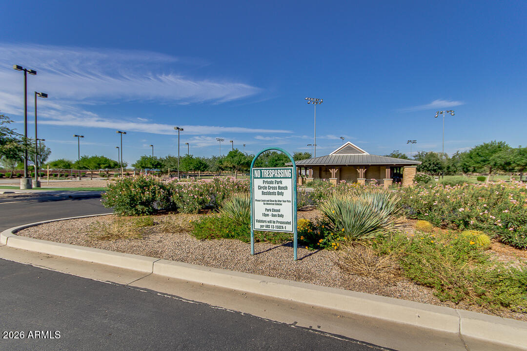 935 West Gascon Road San Tan Valley, AZ 85143 - Photo 42 of 43 a front view of a house with a yard and potted plants