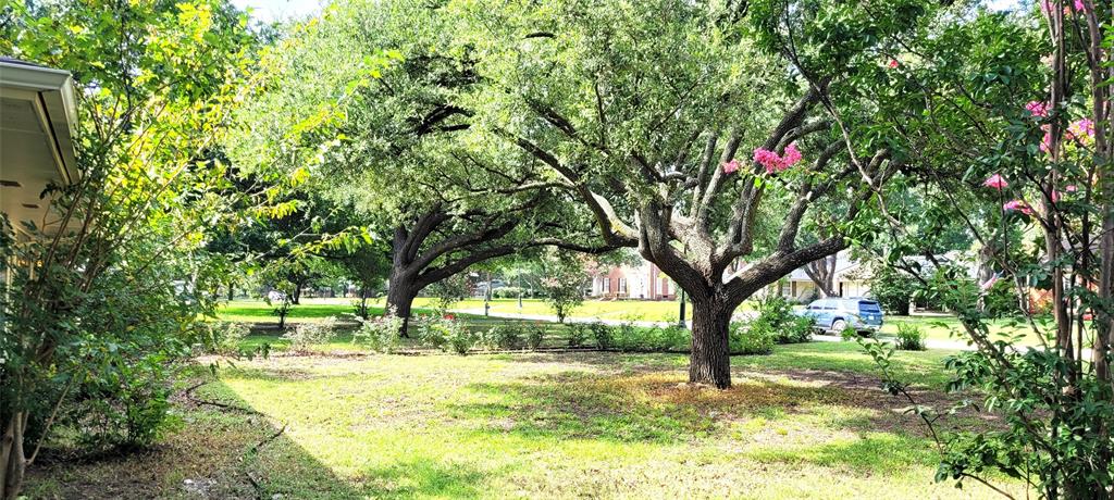 204 Overhill Drive Waxahachie, TX 75165 - Photo 2 of 40 a backyard of a house with a yard and large tree