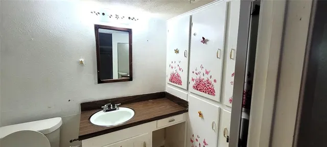 a bathroom with a sink vanity and a mirror