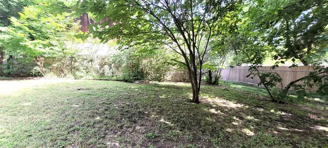 a view of a yard with a tree