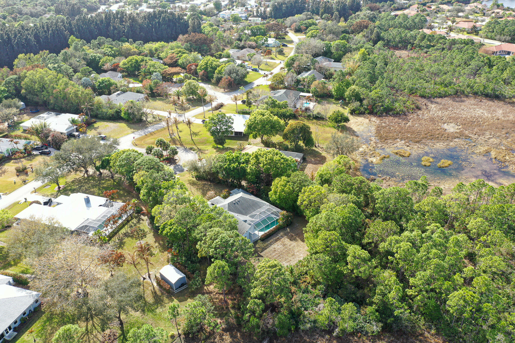 7685 Pleasant Ridge Court Stuart, FL 34997 - Photo 42 of 66 a view of a garden with plants