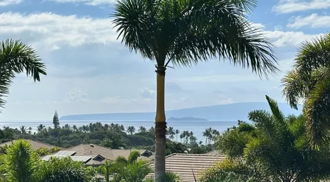 an ocean view with palm trees