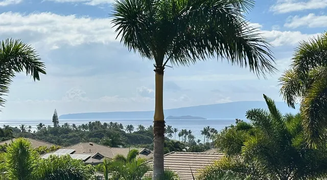 an ocean view with palm trees