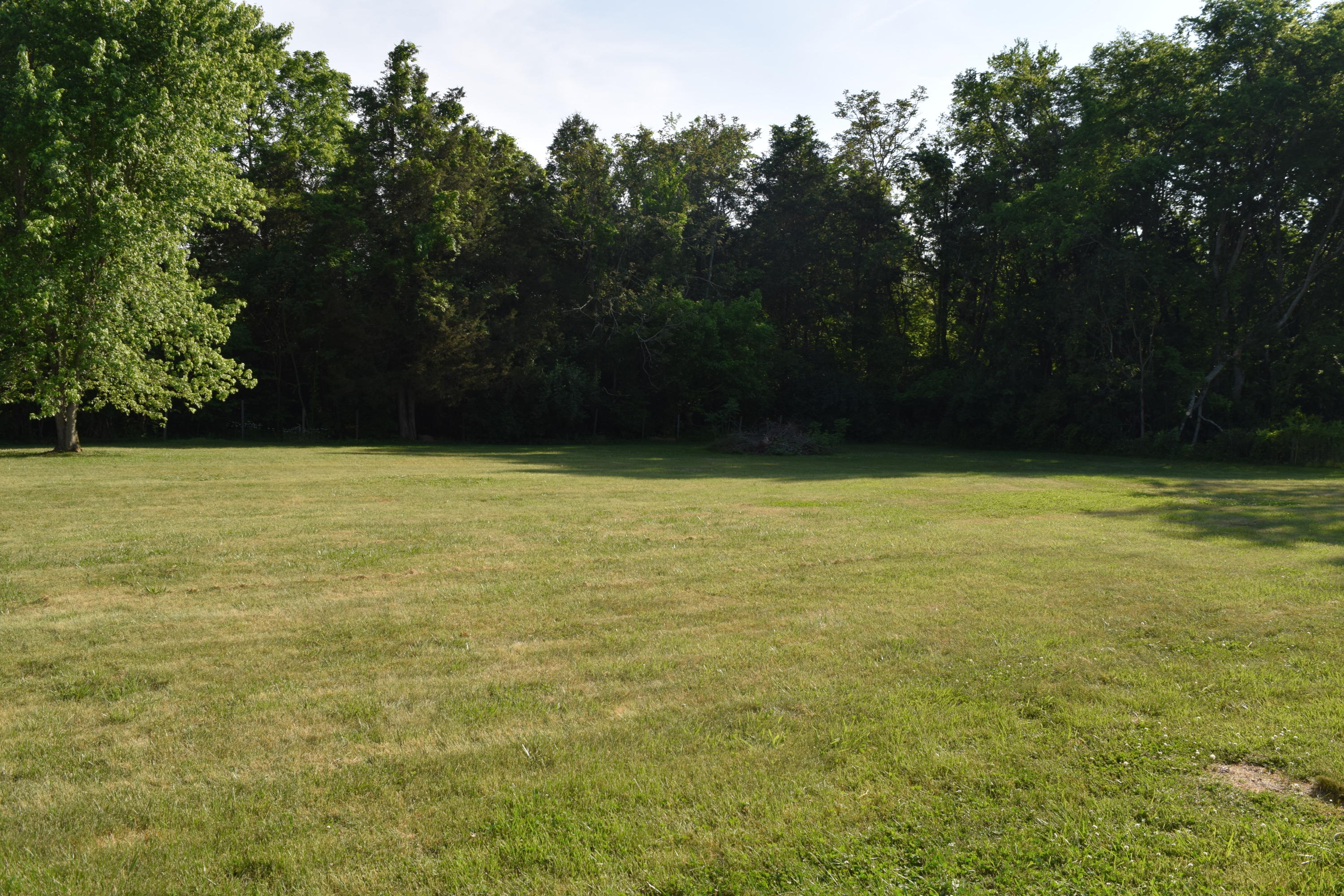 6511 Boruff Road Corryton, TN 37721 - Photo 4 of 16 DSC_1001
