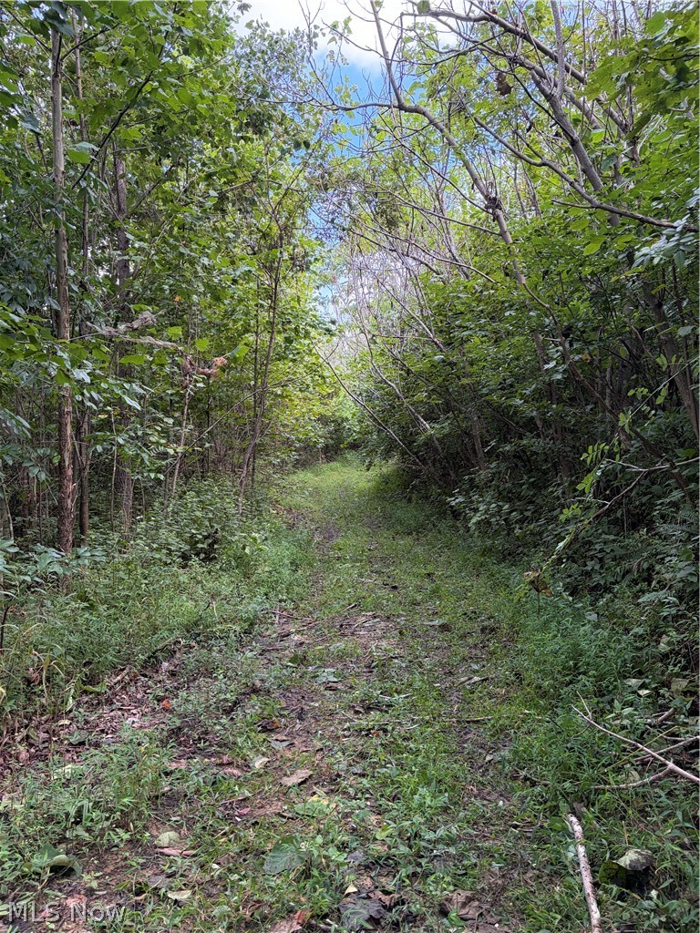 181 County Road Ironton, OH 45638 - Photo 27 of 34 Gallery Image 27