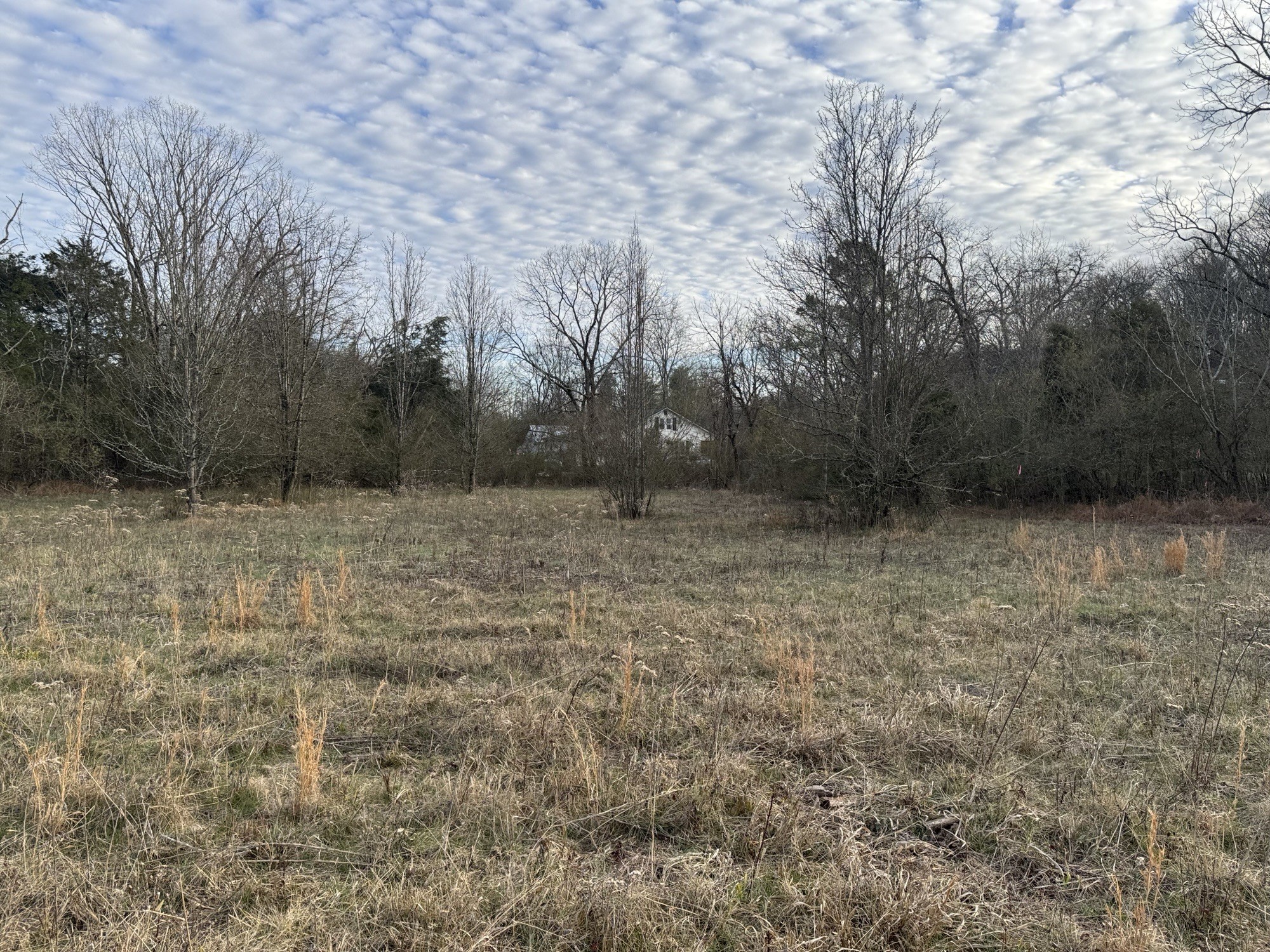 0 Tinnin Road Goodlettsville, TN 37072 - Photo 5 of 20 Gallery Image 5