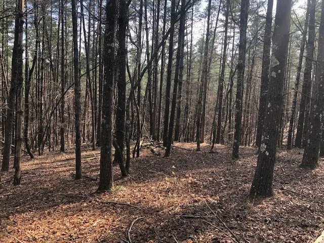 $94,000 | 101 Dutchman's Pipe Trail, Sunset, SC 29685