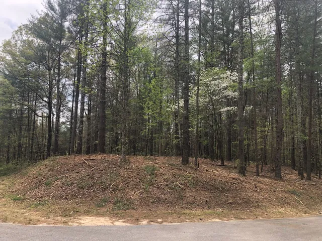 $94,000 | 101 Dutchman's Pipe Trail, Sunset, SC 29685