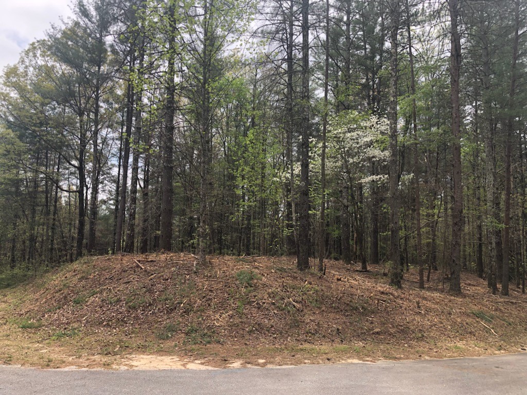 101 Dutchman's Pipe Trail Sunset, SC 29685 - Photo 4 of 7