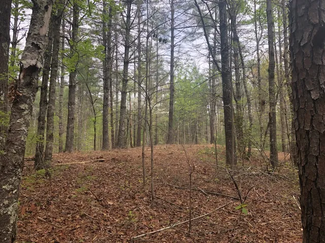 $94,000 | 101 Dutchman's Pipe Trail, Sunset, SC 29685