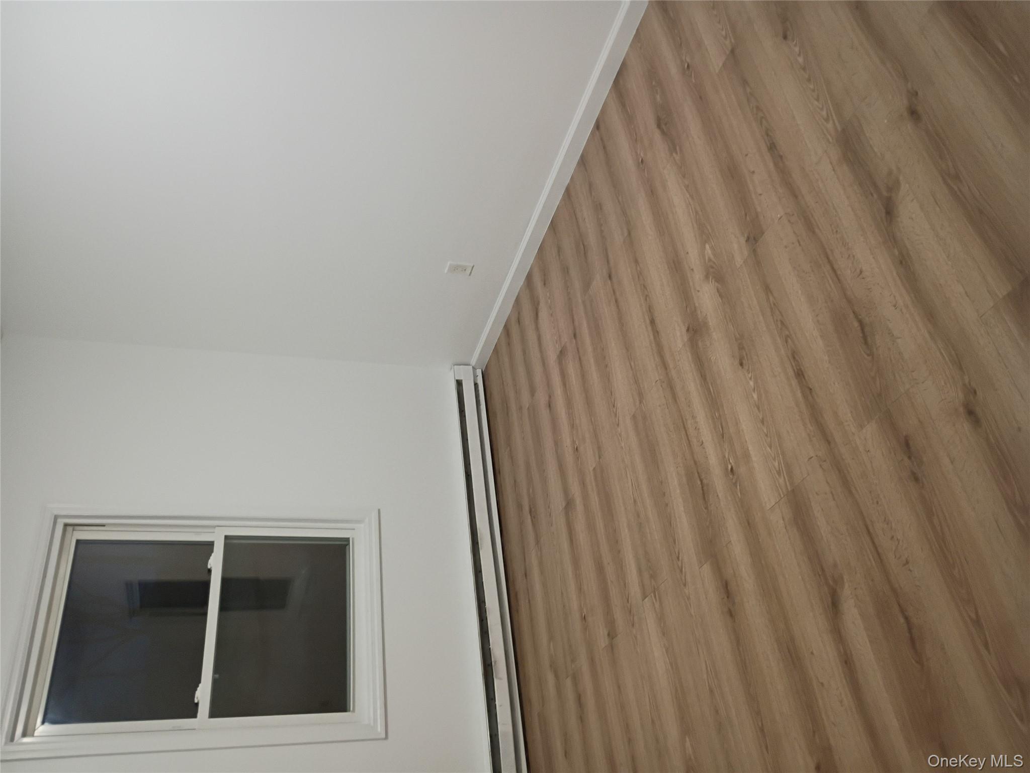 67 Albany Avenue, Unit A&B Flanders, NY 11901 - Photo 11 of 24 Spare room featuring a baseboard radiator and wood finished floors