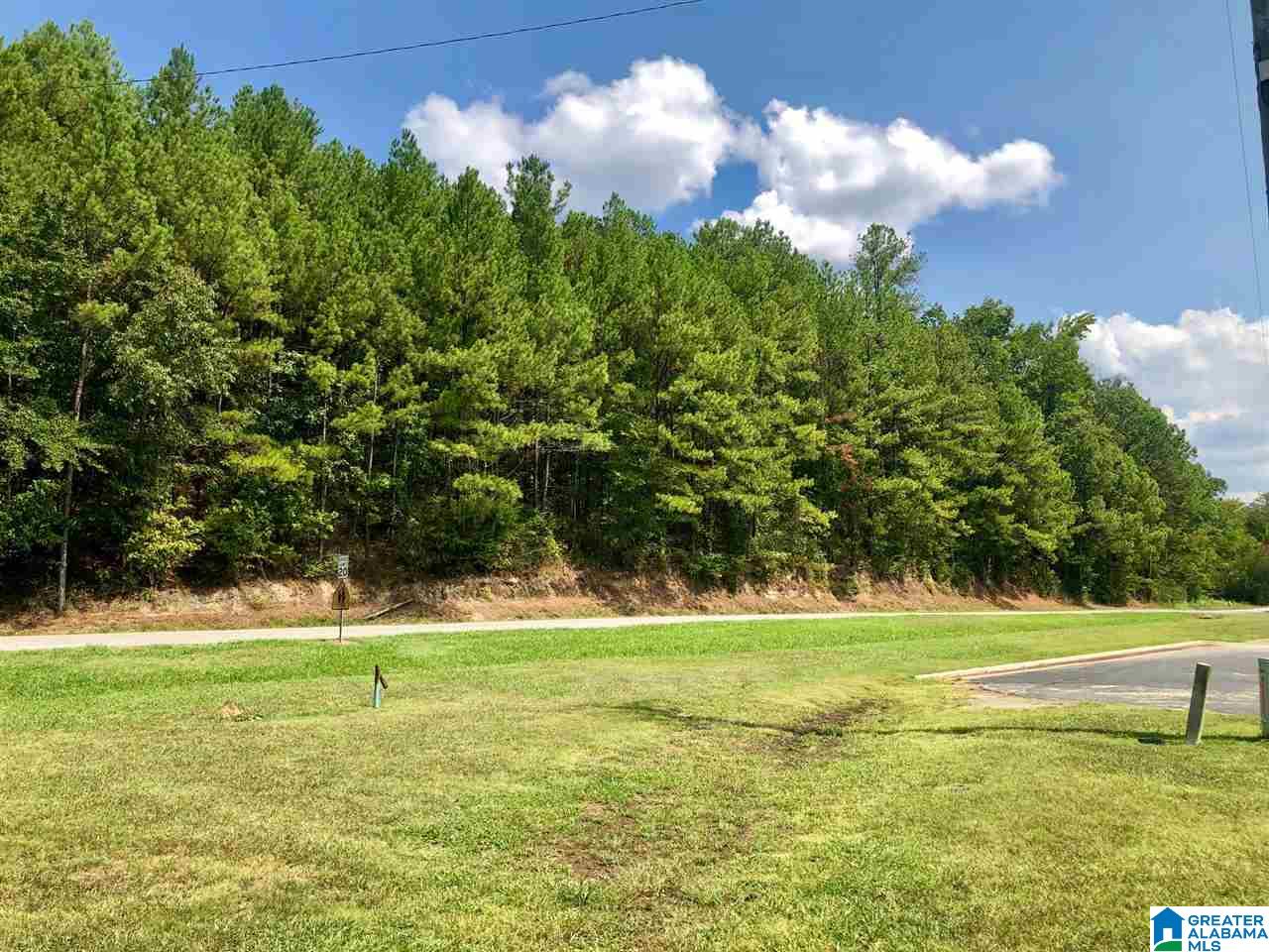 0 Simmsville Road, Unit 2 PARCELS Alabaster, AL 35007 - Photo 21 of 32 Gallery Image 21