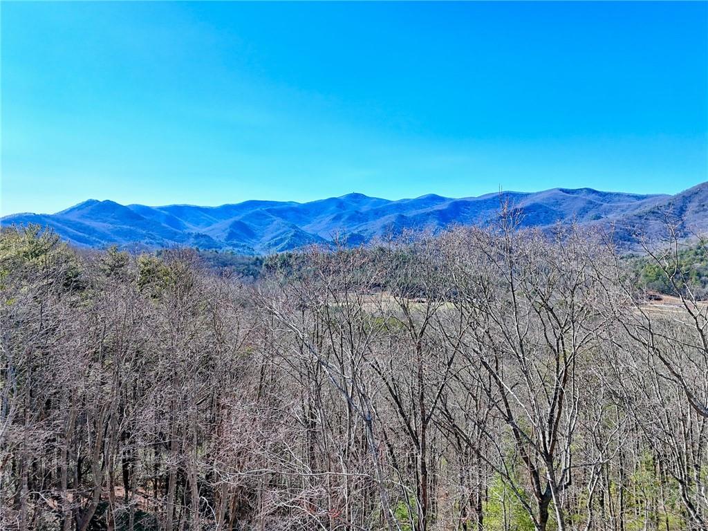 438 Mill Ridge Road Hiawassee, GA 30546 - Photo 56 of 58