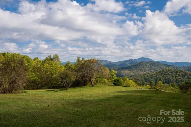 a view of a grassy field with mountains in the background