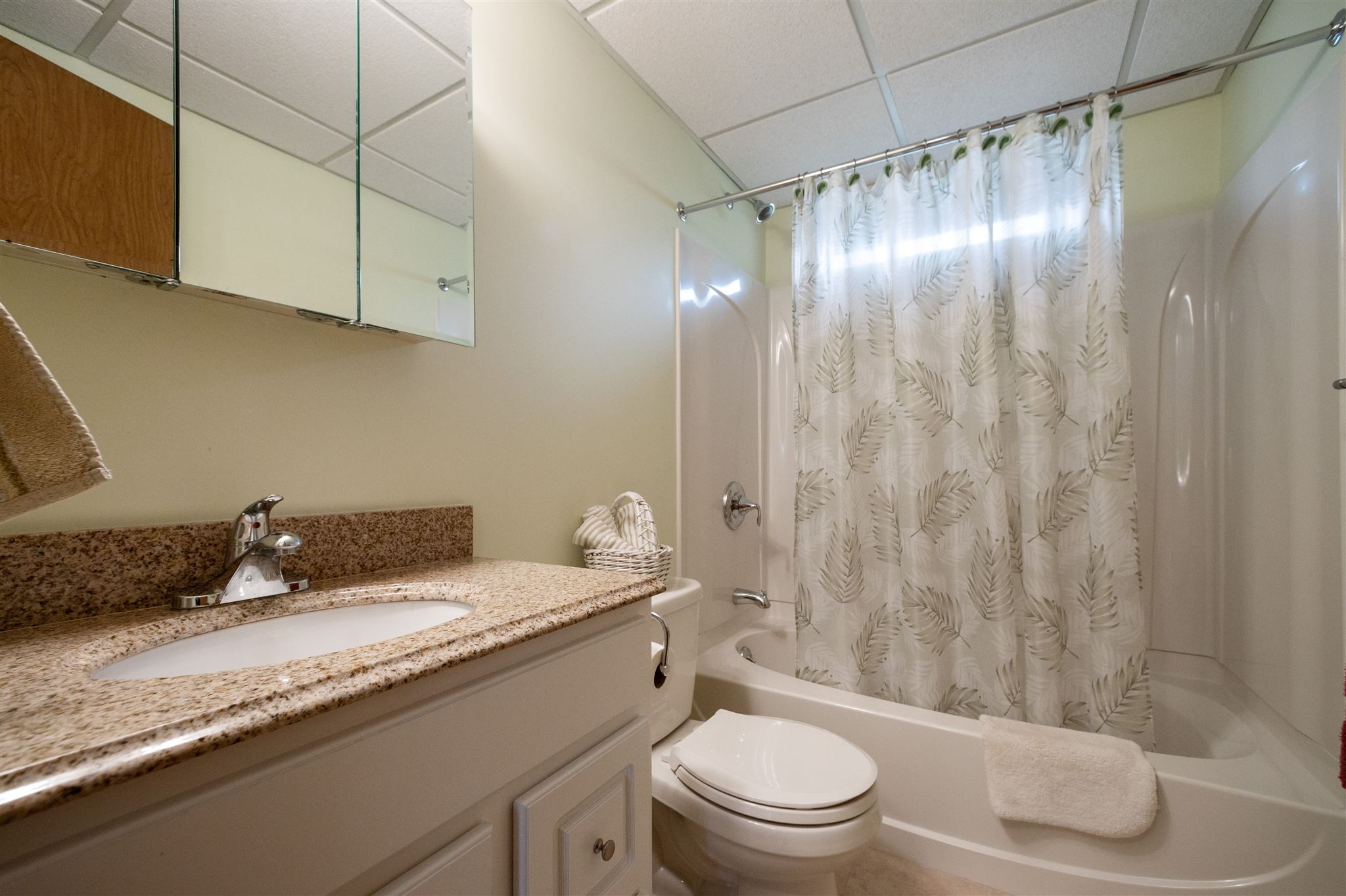 44 Rachael Circle Goffstown, NH 03045 - Photo 22 of 40 Gallery Image 22