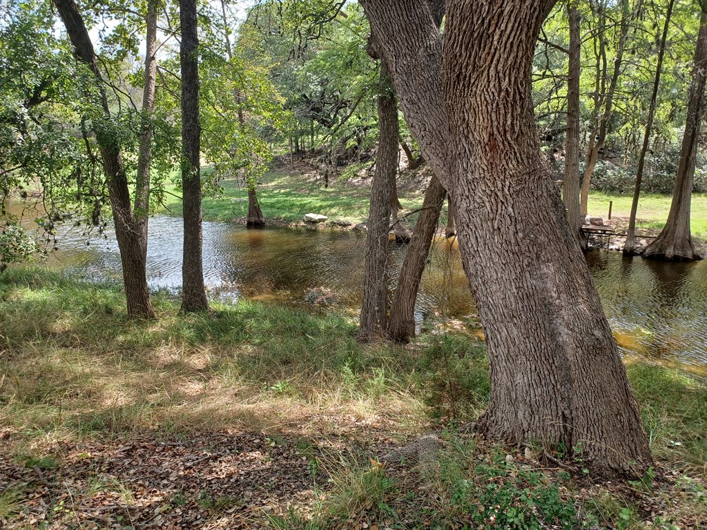 535 China Street Center Point, TX 78010 - Photo 4 of 28