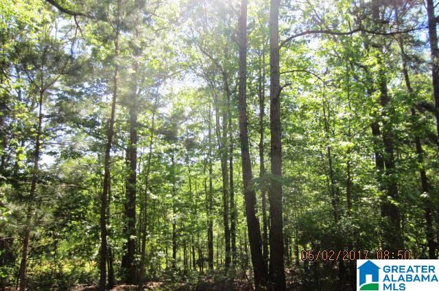 82-acres Creed Road, Unit 82 ACRES Lineville, AL 36266 - Photo 12 of 20