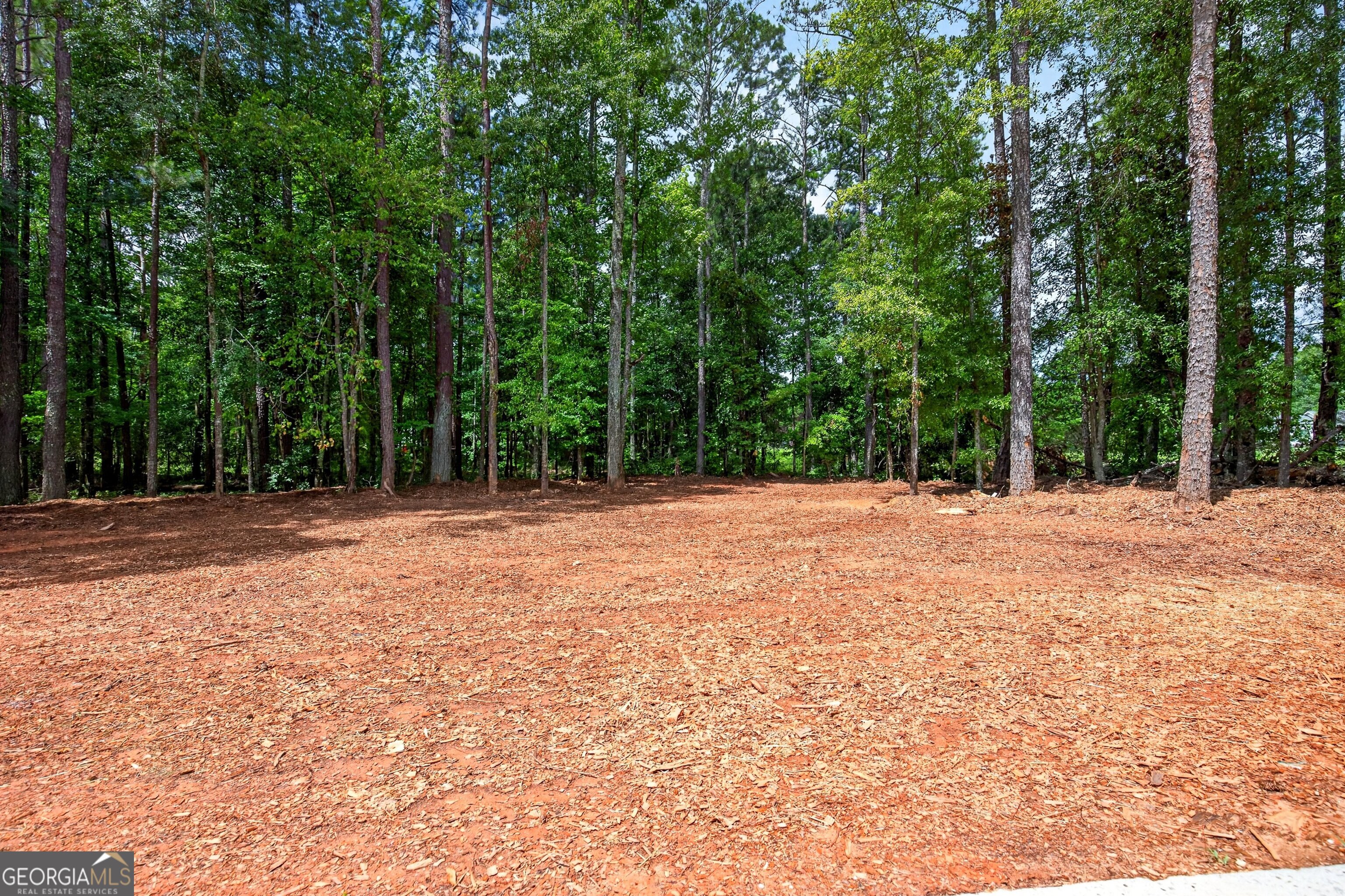 174 Rock House Road Senoia, GA 30276 - Photo 40 of 41 a view of backyard of a house