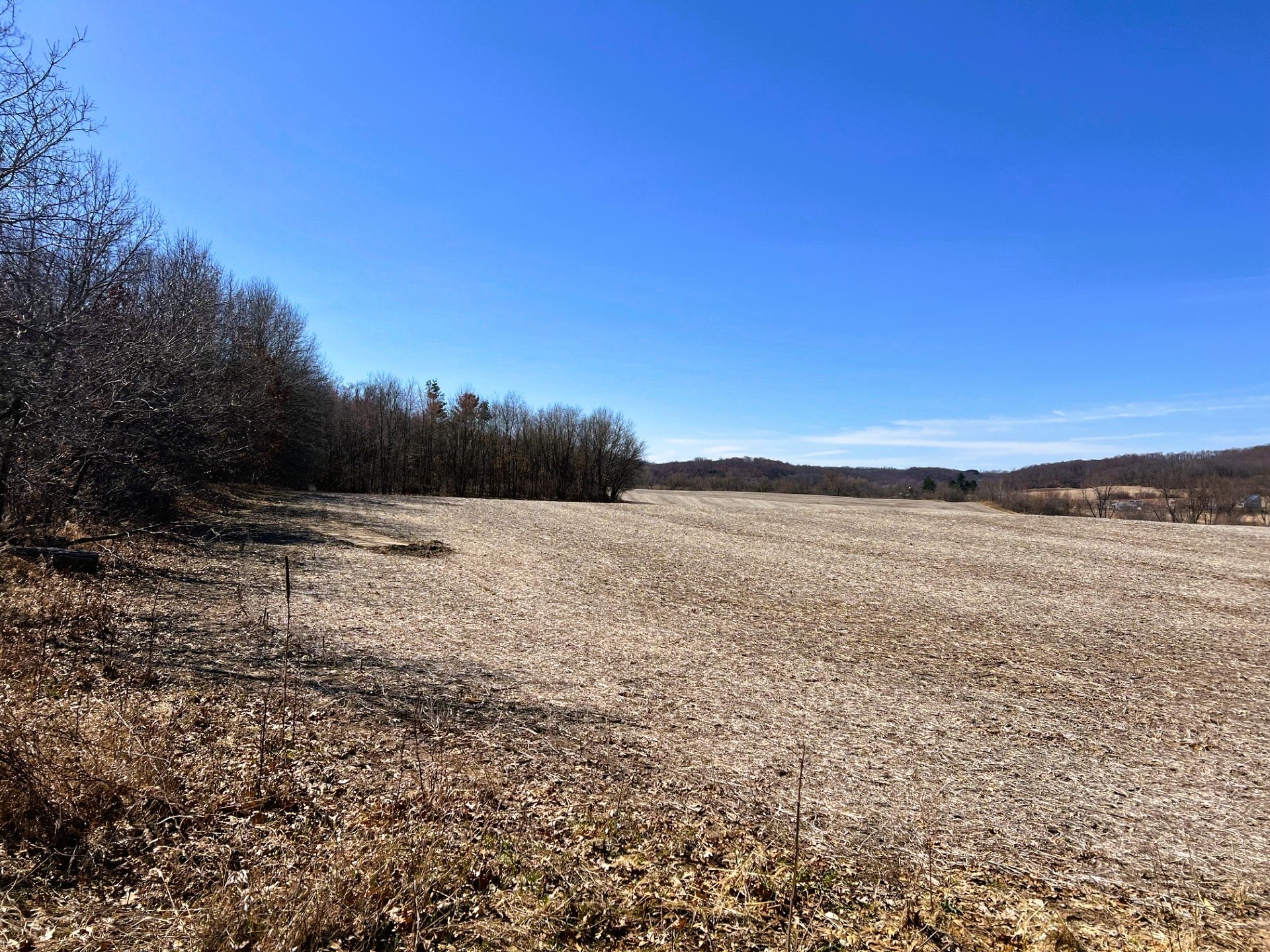 0 Pete Coulee Road Taylor, WI 54659 - Photo 19 of 49